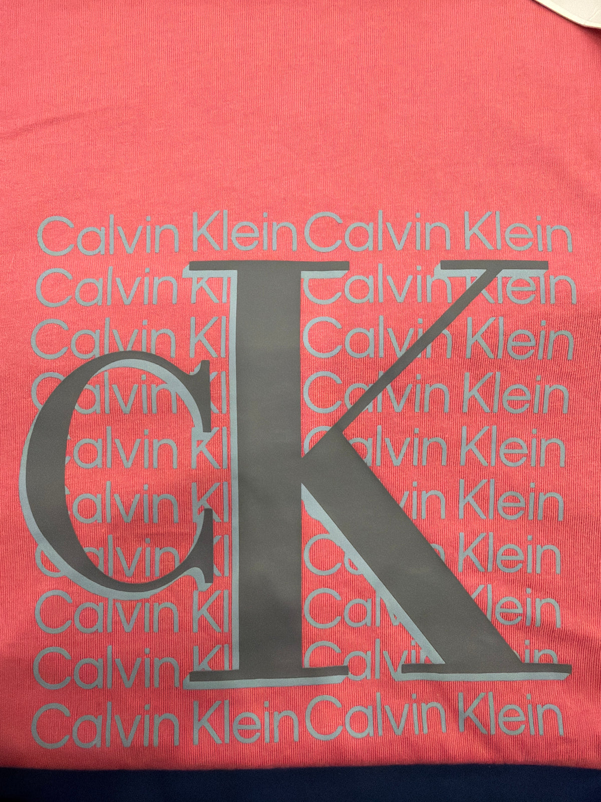 Camiseta Calvin Klein Hombre