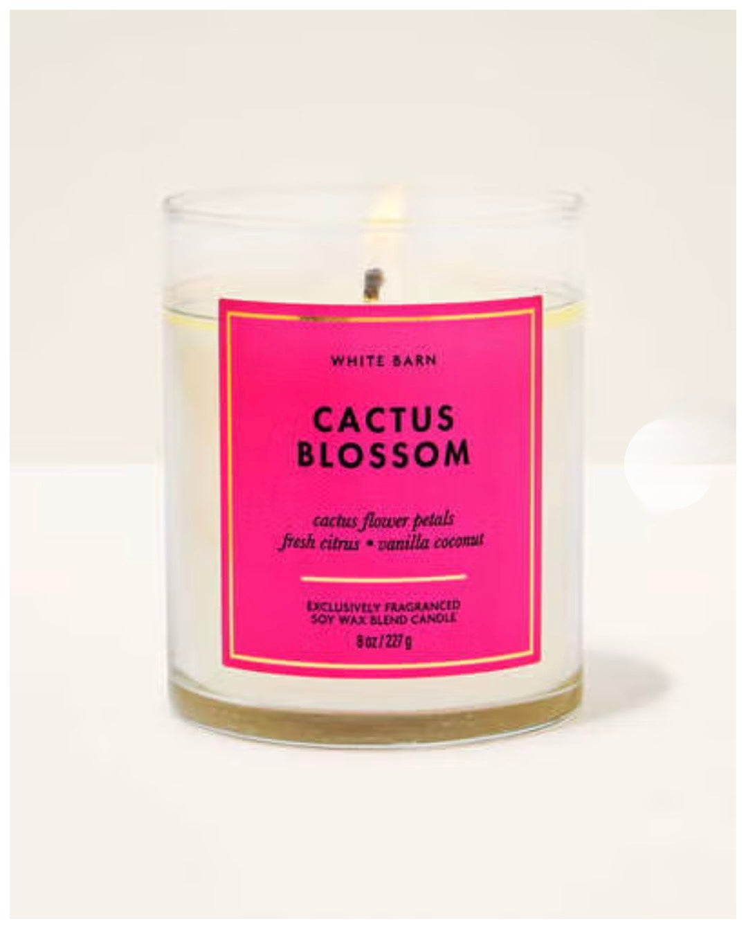 Vela de una mecha White Barn/Bath & Body Works - Cactus Blossom