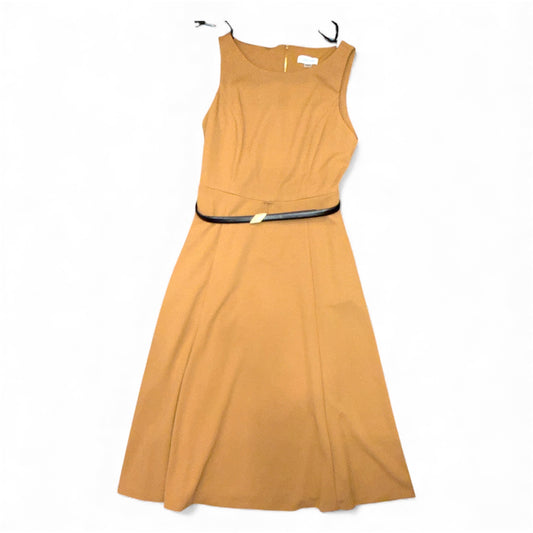 Vestido Calvin Klein con cinto